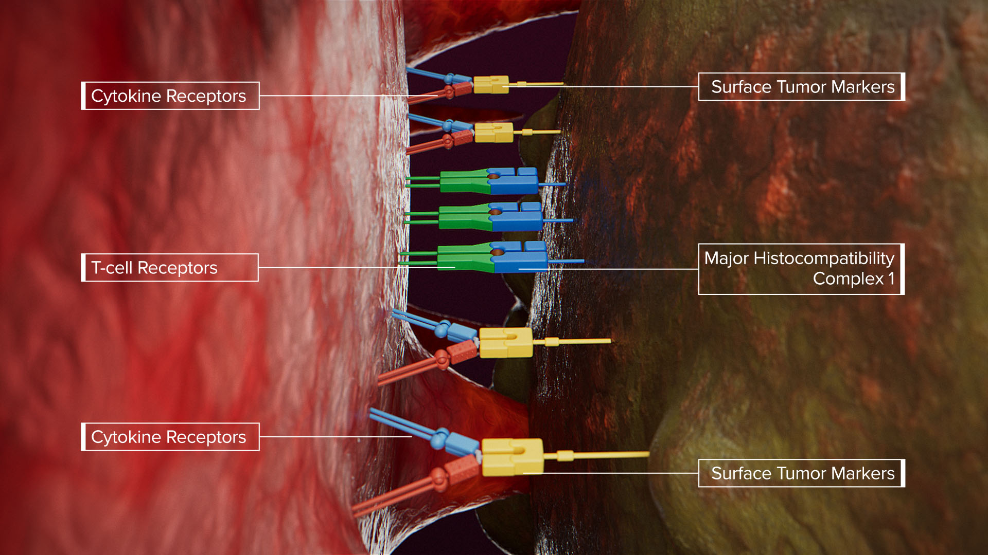 Deka Biosciences 3D design artwork