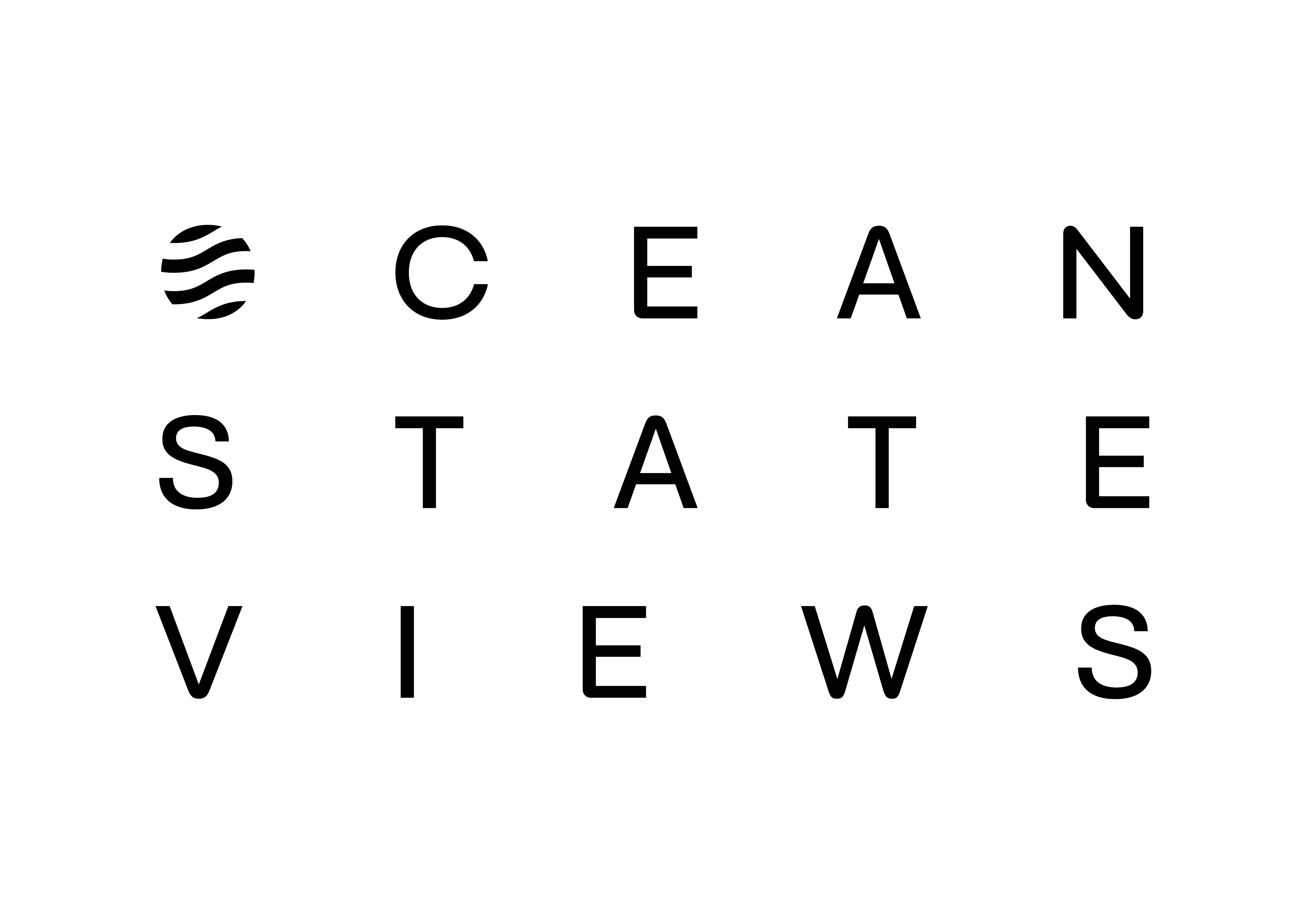 Ocean State Views logo direction