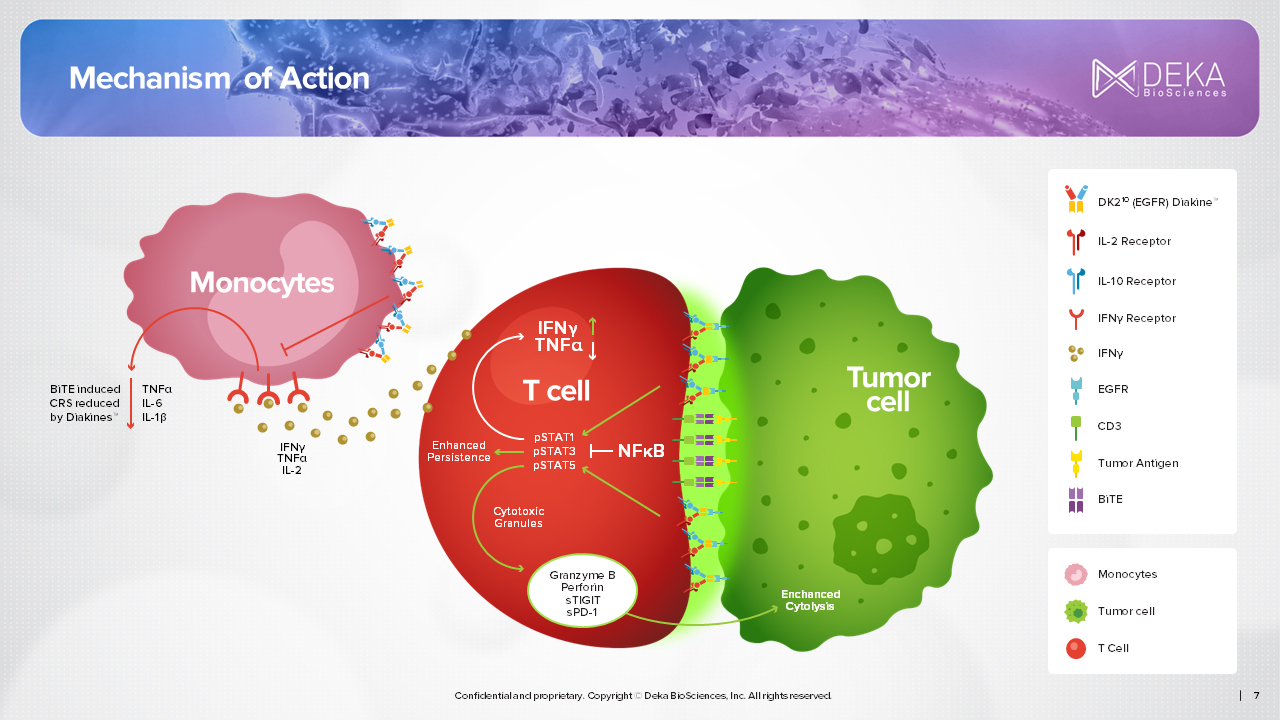 Targeted Cytokine Delivery presentation slide
