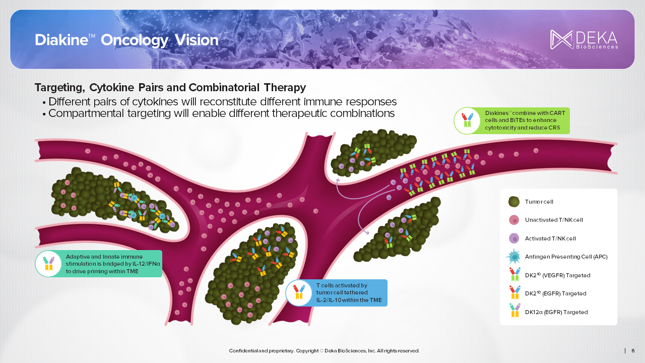 Targeted Cytokine Delivery presentation preview